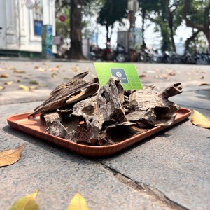 กินัม น้ำมันกฤษณาบริสุทธิ์ เกรดทริปเปิ้ล อายุ 40 ปี กลิ่นหอมจากไม้กฤษณา ชิ้นไม้กฤษณาธรรมชาติ กฤษณาเวียดนาม ฮาติน กำยาน - Product Image 1