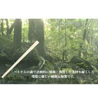 Kyushu Paper Co. Ltd. White Plain 21cm <b>Disposable</b> <b>Chopsticks</b> Individually Wrapped Afforestation Genroku Toothpicks Hygienic - Product Image 2