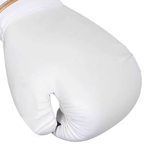 Gants de boxe professionnels de qualité supérieure, sur mesure, respirants, en polyester et cuir, ensemble d'entraînement unisexe pour l'entraînement en plein air - Product Image 6