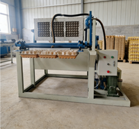 Fruitverpakkingsmachine van papierpulp voor appel- en mangoverpakkingen