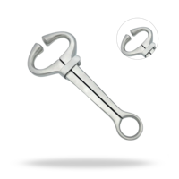 Laisse de bétail robuste en acier inoxydable style Harms, taille standard, instrument vétérinaire pour le contrôle du bétail