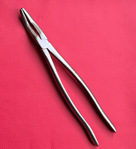 Forceps à dents de loup, grande taille, prise améliorée pour une extraction dentaire efficace - Product Image 3