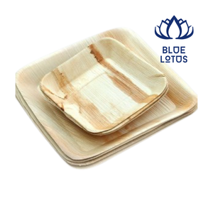 Assiettes en feuilles de palmier Areca en gros, vaisselle biodégradable verte - Product Image 1