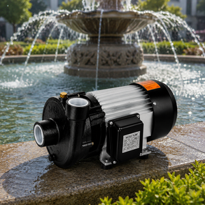 SnowFlake XPKm2200 3HP Single-Phase Electric Centrifugal Pump 1in Outlet Steel Stainless Steel Impeller Fountain Pond Water Pump - Product Image 4