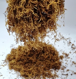 physical effects of using tobacco Tobacco dependence affects not just your body, but your mind and lifestyle  too. 🚭 From physical symptoms to emotional struggles, it impacts every  aspect of health. At Venugram Hospital, we're here to