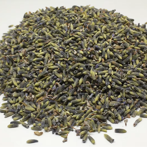 ดอกลาเวนเดอร์ออร์แกนิกแบบดอกเต็มดอก |   ดอกตูมแห้งทั้งดอก |   ลาเวนดูลา อังกุสติโฟเลีย |   ชาสมุนไพร - Product Image 1