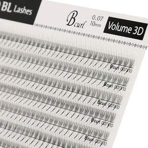 [Private Label] BEST Korea PBT Premade Fans Russian Volume W 3D-6D Lash 0.07 (B,C,J,D Curl)(8-14mm Mix) Individual Soft Eyelash - Product Image 2
