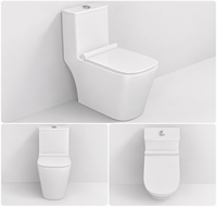 WC monobloc à poser au sol, double chasse, siphon à jet carré en céramique, siphon en S 305 mm, minimaliste