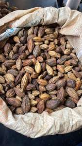 สีเหลืองธรรมชาติ ไมโรบาลาน - Product Image 5