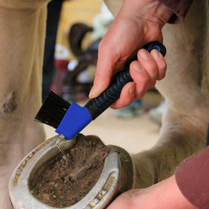 Brosse à sabots pour chevaux avec logo personnalisé, robuste, nouveau design, style classique, réutilisable, pour grands animaux, outils de fermeur, personnalisable - Product Image 6