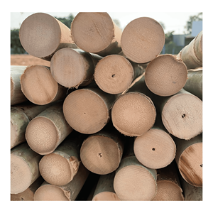 Poteau en bambou naturel, fabriqué avec du bambou épais, pour les échafaudages de construction et l'ameublement extérieur, origine Vietnam. - Product Image 1