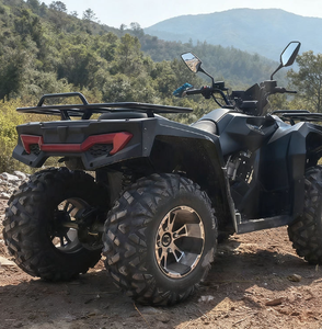 300cc Adult Gasoline ATV Automatic Transmission 4x2 Off-road <b>Quad</b> <b>Bike</b> Farm ATV Factory <b>Wholesale</b> Quadriciclo Cuatrimoto - Product Image 2