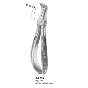 Forceps d'extraction Fig. 50 racines supérieures (modèle anglais) |   Acier inoxydable de qualité supérieure - Product Image 2