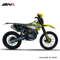 BRZ 300cc 4 Stroke Zongshen Engine Dirt Bike off Road Motorcycle with Electric/Kick Start Over 80km/h Chain Moto Cross