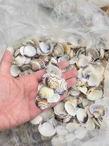 Gourmet Food-Grade Natural Shell Pearl <b>Heart</b> Hoop <b>Earrings</b> White Baking & Serving Dishes Wholesale - Product Image 3