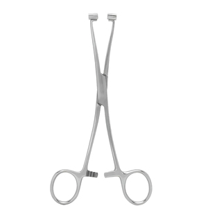 Pince à piercing en acier inoxydable sur mesure, nouvelle arrivée, produit tendance, fournisseur de qualité supérieure, prix de gros - Product Image 1