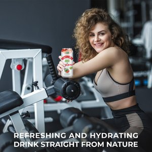 Boisson de jus de pastèque pur de 490ml sans sucre ajouté, échantillon gratuit, marque privée, fournisseurs en gros (OEM, ODM) - Product Image 6