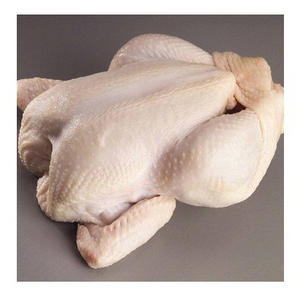 ไก่เนื้อแช่แข็งฮาลาลที่ได้รับการรับรอง ไก่สดและไก่แช่แข็ง จัดจำหน่ายจำนวนมากเพื่อการค้าระหว่างประเทศ - Product Image 4