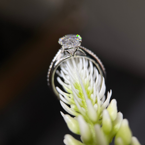 Bague de fiançailles en or 14 carats avec diamant ovale de 3,50 carats, taille D VVS2, cultivé en laboratoire, halo caché pavé, certifiée IGI - Product Image 5