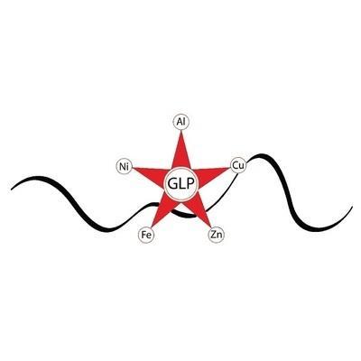 G.L.P. SRL logo