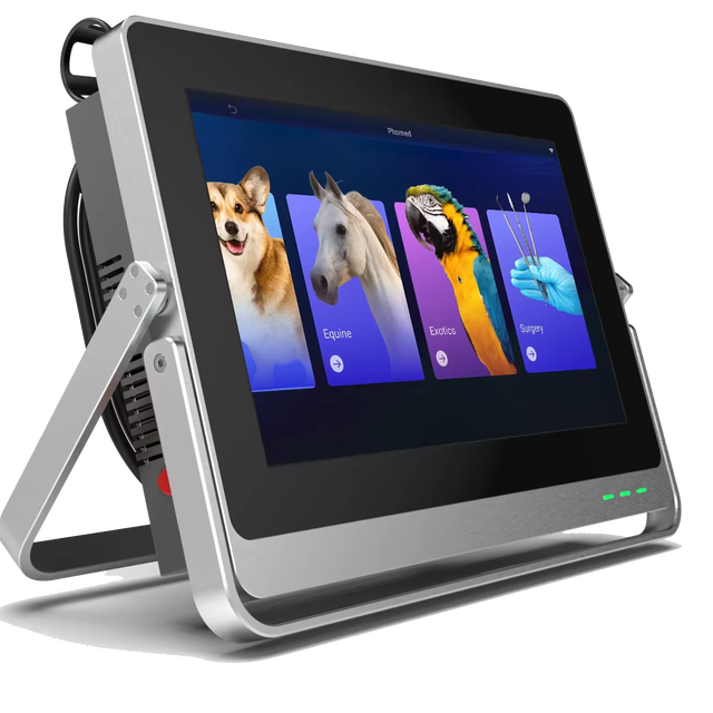 Vet Class IV Laser Therapy Surgical Equipment