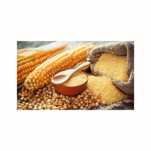 Amidon de pomme de terre biologique à prix avantageux, qualité alimentaire, maïzéna, amidon de maïs - Product Image 1
