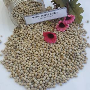 พริกไทยขาวเวียดนามขายส่งสำหรับส่งออก คุณภาพดี ราคาดีที่สุด - Product Image 3