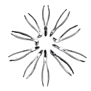 Kit para instrumentos quirúrgicos dentales, pinzas de alicates para extracción de dientes en adultos, niños, elevador de raíz curvada, herramientas orales - Product Image 2