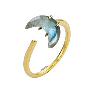 Anillo Facetado de Labradorita con Forma de Luna Creciente – Banda Chapada en Oro, Joyería al por Mayor - Product Image 1