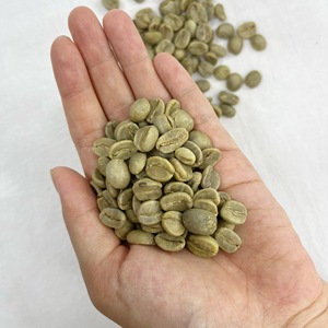 Grains de café de spécialité Arabica du Vietnam transformés par la méthode du miel non torréfié support OEM/ODM fourni directement de la ferme - Product Image 2