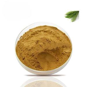 OEM Pure Natural Horsetail Extract Powder <b>for</b> Hair & Skin Care Premium Quality Equisetum Arvense Powder <b>for</b> Herbal Formulations - Product Image 2
