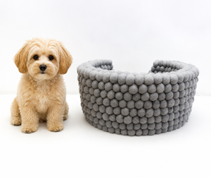 Cozy and Comfy Grey Felted <b>Wool</b> Ball Dog Bed and Pet House Eco-friendly Solid Pattern Felt <b>Wool</b> Ball Accessory - Product Image 2