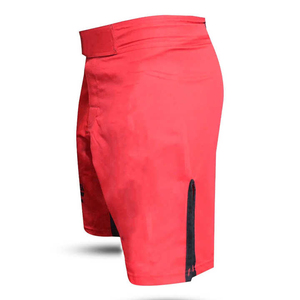 Shorts de combat MMA personnalisés pour hommes, impression par sublimation, BJJ, grappling, Muay Thai, kickboxing, entraînement, vêtements de sport - Product Image 2