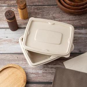 Excelente Contenedor Rectangular Desechable de Pulpa Moldeada de 500 ml, Moderno, de Fibra Natural, Ecológico y Compostable para Almacenamiento Diario - Product Image 4