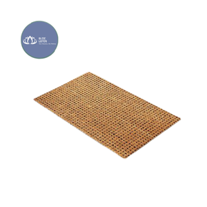 Alfombra de Fibra de Coco Natural Resistente Glory, Antideslizante, para Entrada, Decoración del Hogar, MÁS VENDIDA - Product Image 1