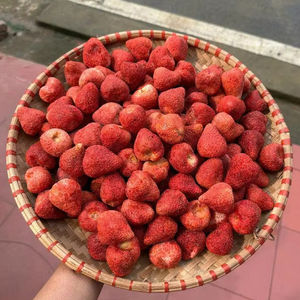 Fournisseur de tranches de fraises lyophilisées en vrac, croustillantes, sucrées et saines - Product Image 1