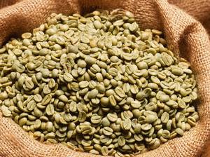 Grains de café vert Robusta biologiques, taille 18, prix de gros, qualité standard d'exportation, certifiés biologiques USDA, marque TNFOOD, grade AA+ - Product Image 6