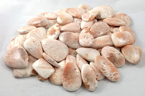 Cabochon de pierres précieuses en vrac Scolecite rose naturel Mélange de cristal Forme et taille Cabochon en vrac Cabochon de pierres semi-précieuses fabriqué à la main - Product Image 3