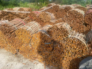 Cassia séchée vietnamienne AD Raw STICK CASSIA, haute pureté 99%, nettoyée, sans impuretés, riche en arômes, pour la cuisine et l'extraction d'huiles essentielles - Product Image 5