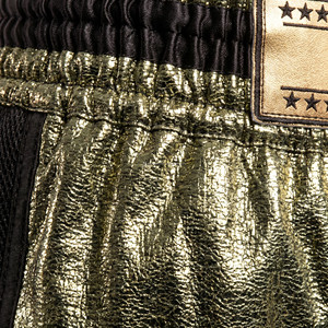 Custom Metallic Gold <b>Men</b> Boxing Shorts Breathable Mesh Side Panels Kickboxing <b>Trunks</b> Wholesale Custom Logo Muay Thai Fight Short - Product Image 4