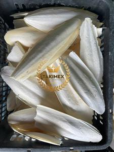 Jouet à mâcher pour animaux de compagnie en grande quantité, os de seiche séchée de qualité supérieure du fournisseur fiable - Product Image 3