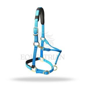 Harnais de cheval en nylon rembourré, réglable et confortable, collier équestre - Product Image 4