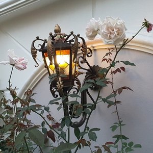 Traditional Classic Style Casting Iron 3D Wall Lamp With Powder Coating For Outdoor Home Decor Schools Parks From Vietnam - Product Image 3