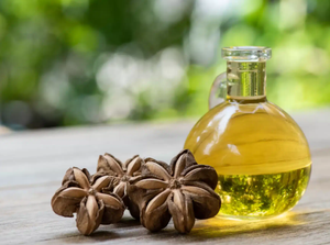 Venta de aceite Sachi con alta calidad a bajo precio de Vietnam - Product Image 6