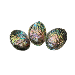 Vietnam Natural <b>Abalone</b> <b>Shell</b> Material for Jewelry Inlay Craft Projects Home Decor Accessories and Gift Making Supplies - Product Image 2