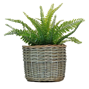 Fabricant vietnamien de pots de rangement au sol en rotin de style rétro, sculptés à la main, vintage, avec poignées, tissés à la main, écologiques, durables, 24L - Product Image 1