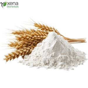 Fournisseur en gros d'extrait de protéine de blé soluble dans l'huile, ingrédient naturel pour les produits de soins personnels - Product Image 3