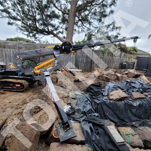 Tonlita Spider Lift Grues certifiées CE Araignée 24.5m 33m Grue Mini Grue sur chenilles Araignée - Product Image 5