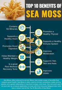 สาหร่ายสีม่วงจากเวียดนามแห้ง Eucheuma cottoni/ Wildcraft - Product Image 5