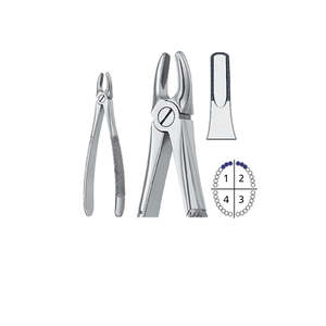 Forceps d'extraction dentaire modèle anglais Fig. 1 (MODÈLE AHI-51-1101) pour Premiers Premolaires Supérieurs Taille Adulte Dentaire par Dentavex - Product Image 4